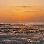 Meer-schillig * Schillig