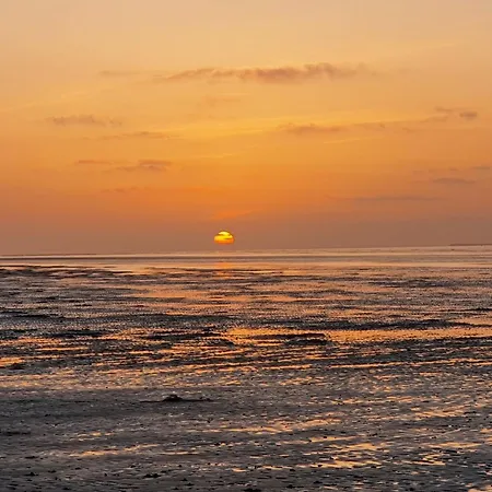 Meer-schillig * Schillig