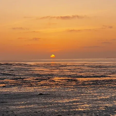 Meer-schillig