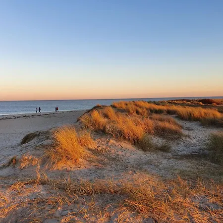 Meer-schillig Lejlighed *