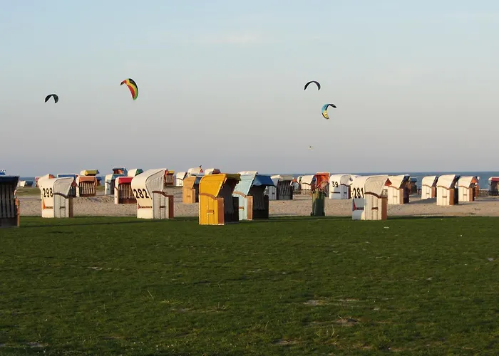 Daire Meer-schillig *