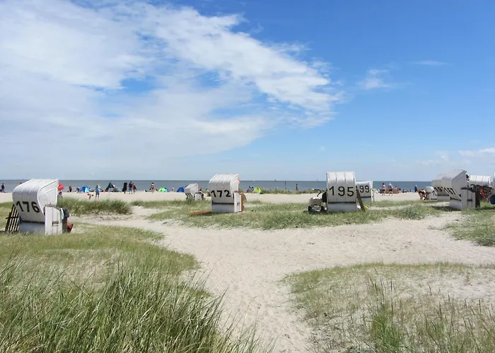 Daire Meer-schillig Schillig