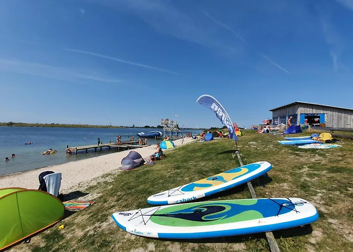 Meer-schillig Daire Schillig