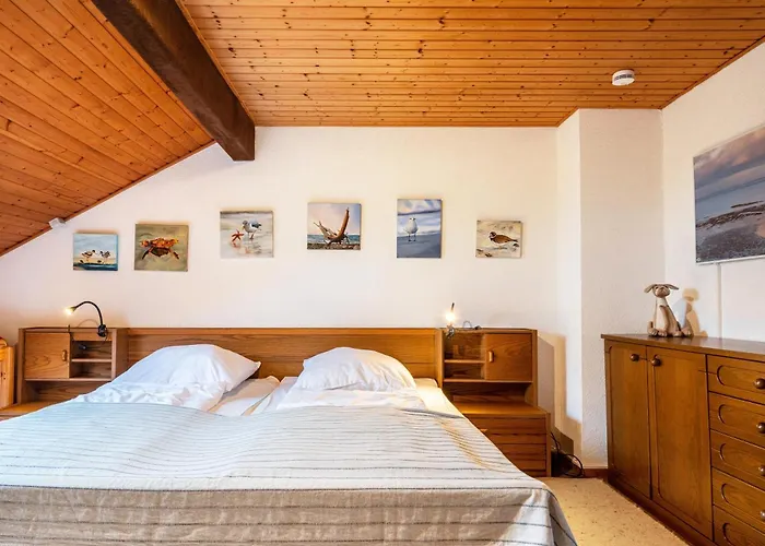 Meer-schillig * Schillig