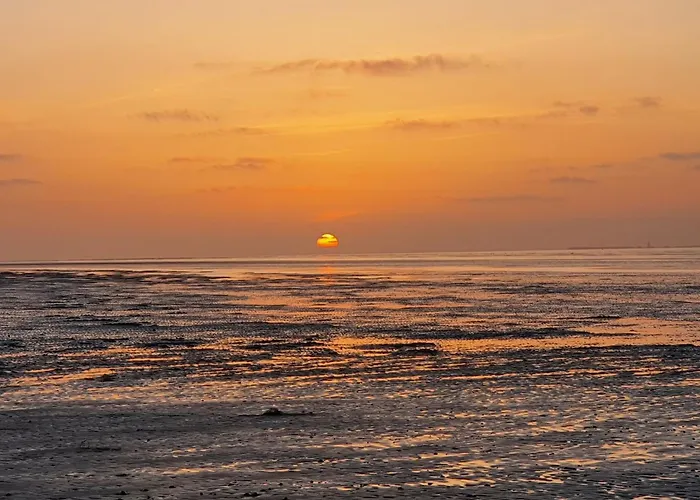 Meer-schillig * Schillig